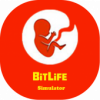 BitLife Life Game