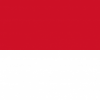 Indonesia VPN – Plugin for OpenVPN